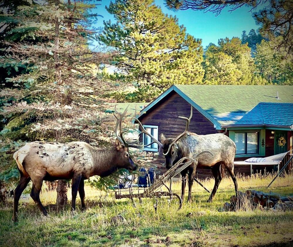 Mountain Shadows Resort Estes Park Ngoại thất bức ảnh