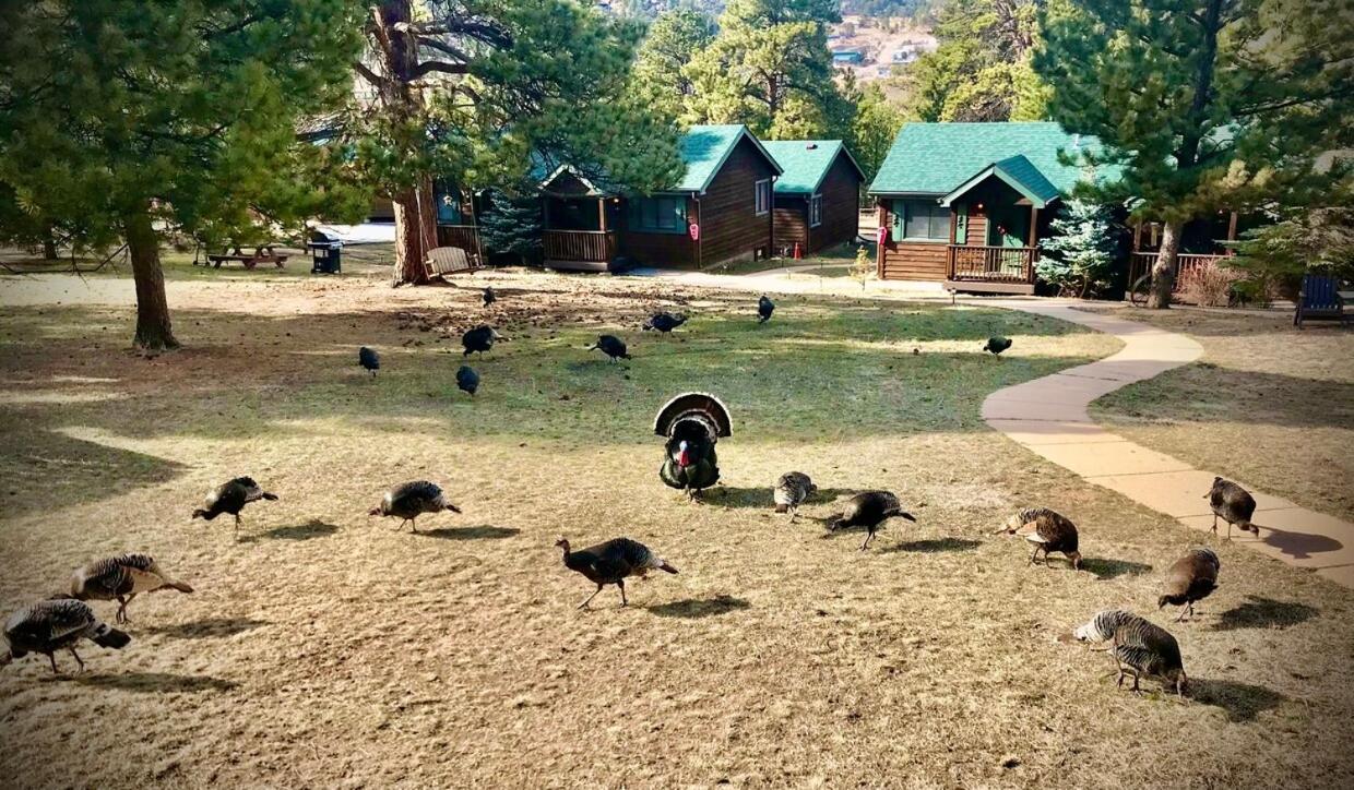 Mountain Shadows Resort Estes Park Ngoại thất bức ảnh