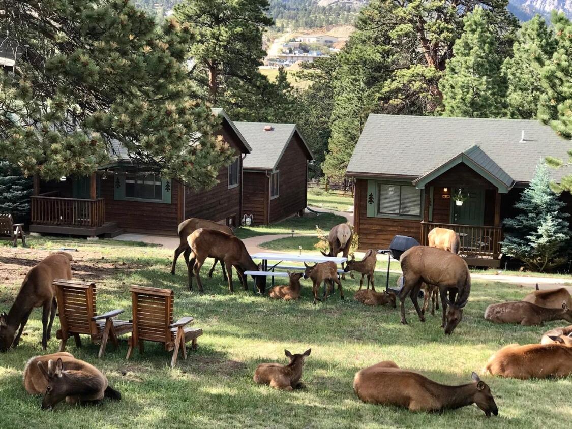 Mountain Shadows Resort Estes Park Ngoại thất bức ảnh