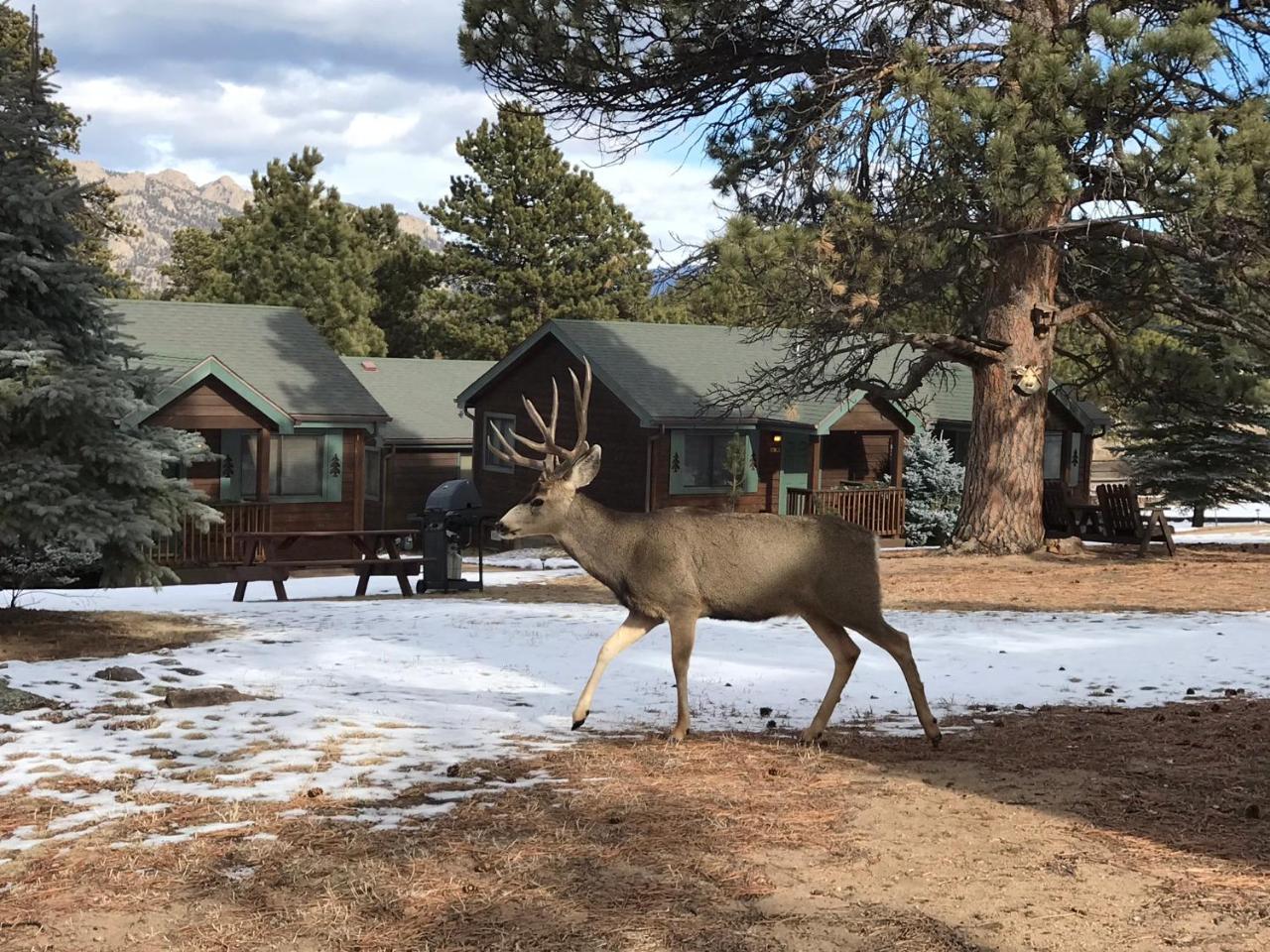 Mountain Shadows Resort Estes Park Ngoại thất bức ảnh