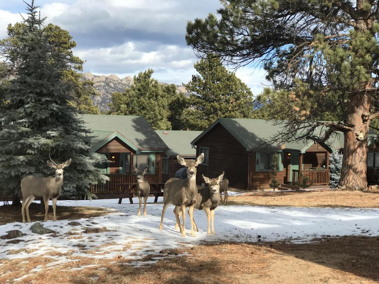 Mountain Shadows Resort Estes Park Ngoại thất bức ảnh